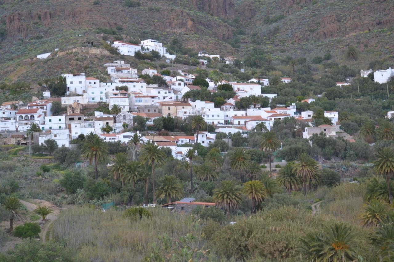 Las Palmeras Temisas Exterior foto